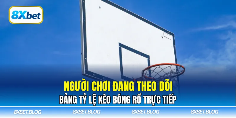 Người chơi đang theo dõi bảng tỷ lệ kèo bóng rổ trực tiếp