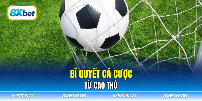 Bí quyết cá cược từ cao thủ