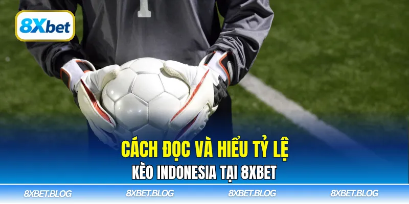 Cách đọc và hiểu tỷ lệ kèo Indonesia tại 8Xbet