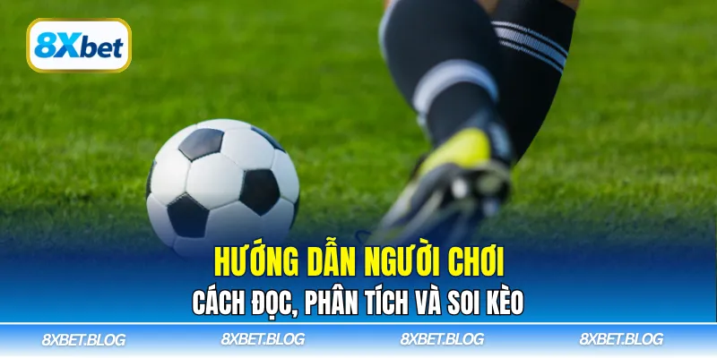 Hướng dẫn người chơi cách đọc, phân tích và soi kèo