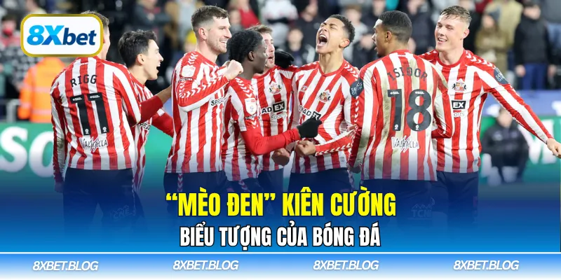 Mèo Đen” kiên cường, biểu tượng của bóng đá