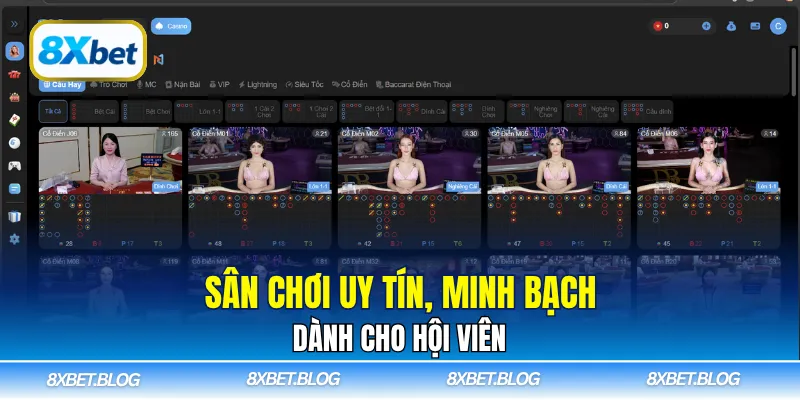 Sân chơi uy tín, minh bạch dành cho hội viên
