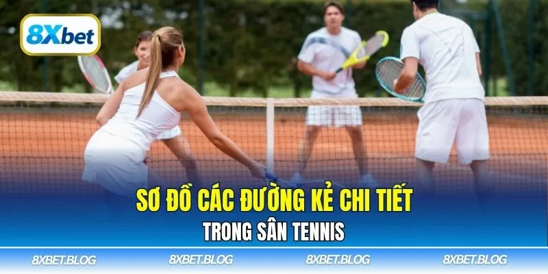 Sơ đồ các đường kẻ chi tiết trong sân tennis