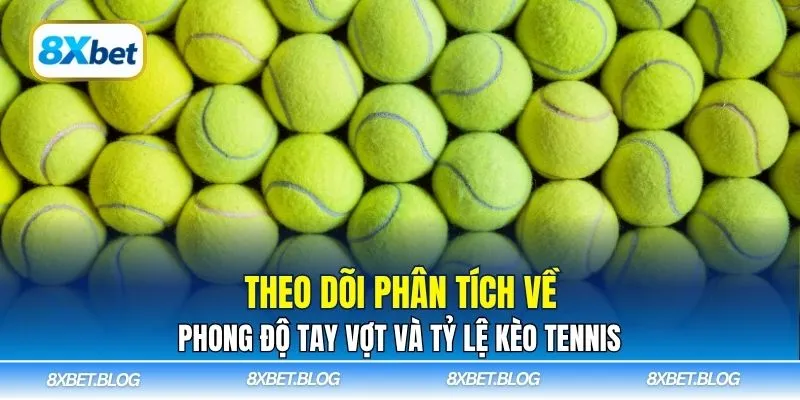 Theo dõi phân tích về phong độ tay vợt và tỷ lệ kèo tennis
